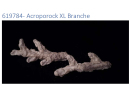 Acroporock XL Kit 13 pièces 619780