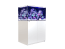REEFER XL 300