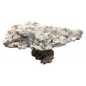 MarcoRocks Natural Top Pedestal Rock prix au kg