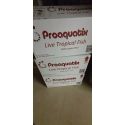 Amphiprion Onyx Picasso SM Elevage USA PROAQUATIX