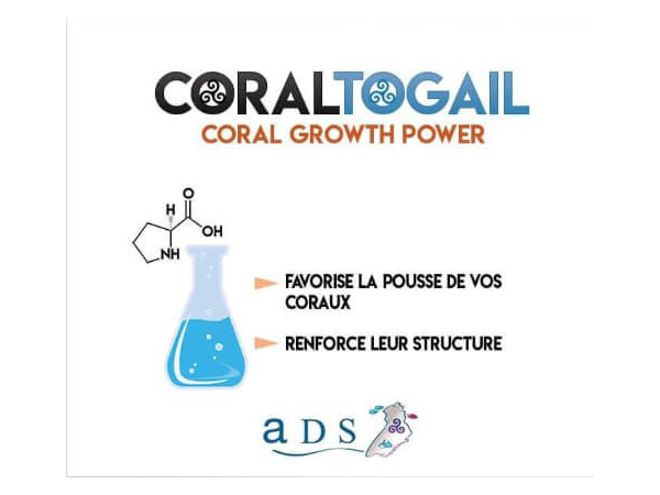 Coral Togail 2L ADS