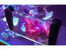 Maxspect Fragnifier