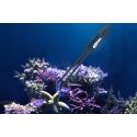 Tweezers - Pince pour coraux Maxspect