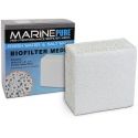 Marine pure