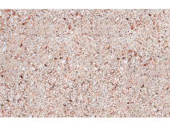 REEF SUBSTRATE 1,0-12,5mm en 9,07 KG --7,25 Kg