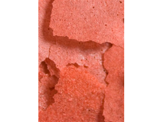 Prime reef Flocons 71 grs Ocean nutrition