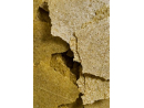 SPIRULINA FLOCONS 34GR