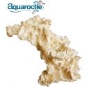 Arche Aquaroche