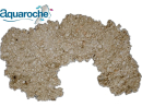 Plateau géant couronne aquaroche