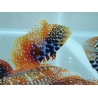 Macropharyngodon Bipartitus