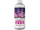 COLOMBO MARINE COLOUR 2 POTASSIUM+ (K-B) 500 ML