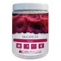 COL MARINE SILICATE EX 1000 ML