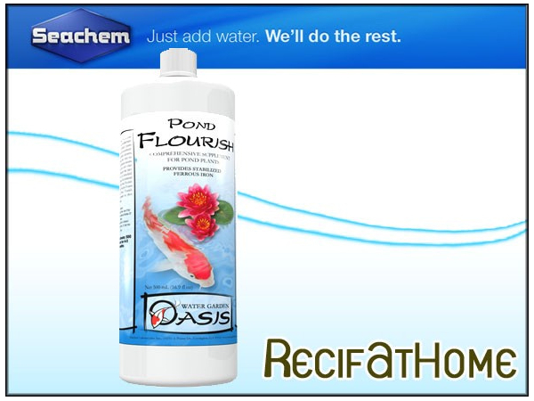 POND FLOURISH™ 500ML*