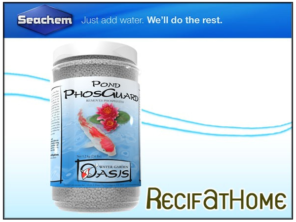 POND PHOSGUARD™ 1L*