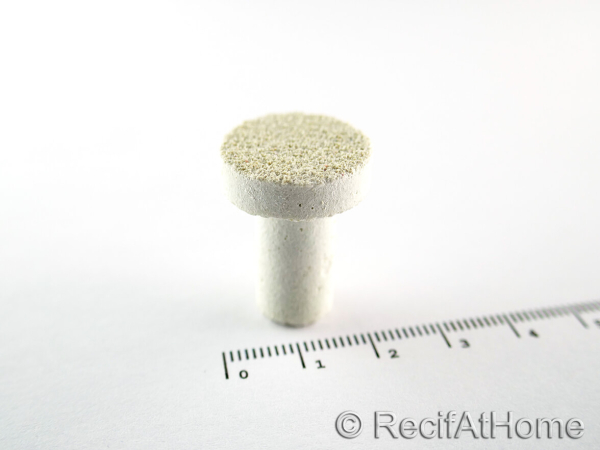 Aragonite X 1 plot FRAG T bouturage corail
