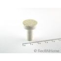 Aragonite X 1 plot FRAG T bouturage corail