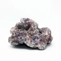 Dutch Reef Rock 1 Base 22 x 18 x 12 cm 1,1 Kg