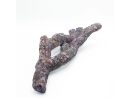 Dutch Reef Rock 49 Bones 36 x 22 x 11 cm 1,4 Kg