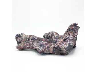 Dutch Reef Rock 50 Bones 32 x 23 x 14 cm 1,8 Kg