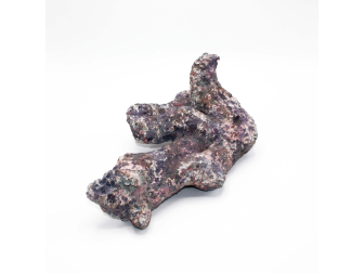 Dutch Reef Rock 50 Bones 32 x 23 x 14 cm 1,8 Kg