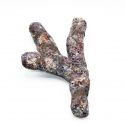 Dutch Reef Rock 51 Bones 32 x 16 x 7 cm 1 Kg