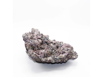 Dutch Reef Rock 59 Plate 31 x 28 x 17 cm 3,8 Kg