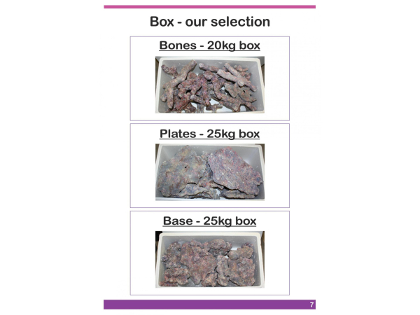 Dutch Reef Rock Bones   Mix Box 20 Kg