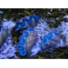 Tridacna maxima ultra bleu SM 5-7 cm