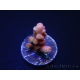 WYSIWYG-Acropora hyacinthus Pink 5C7