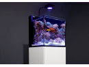 MAX NANO Redsea