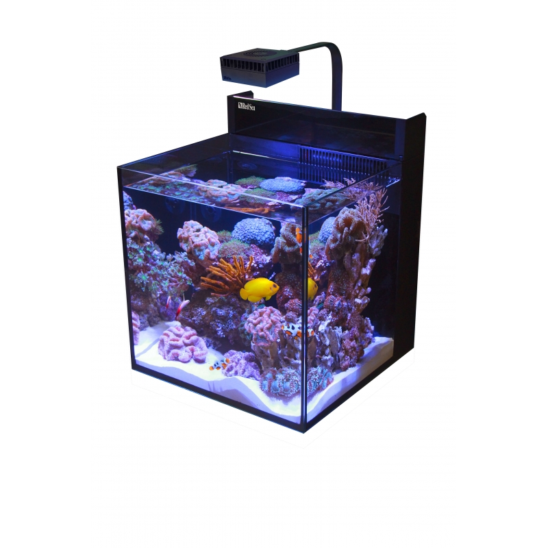 Red Sea Max NANO PENINSULA Aquarium avec éclairage ReefLED 50 et
