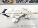FLOATING ROCK SET GAUCHE Blue Marine