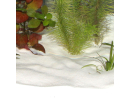 JBL Sansibar SNOW 10 Kg