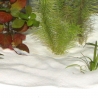JBL Sansibar SNOW 5 Kg
