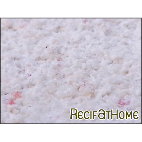 FRAG T X 20 plot Medium pour coraux