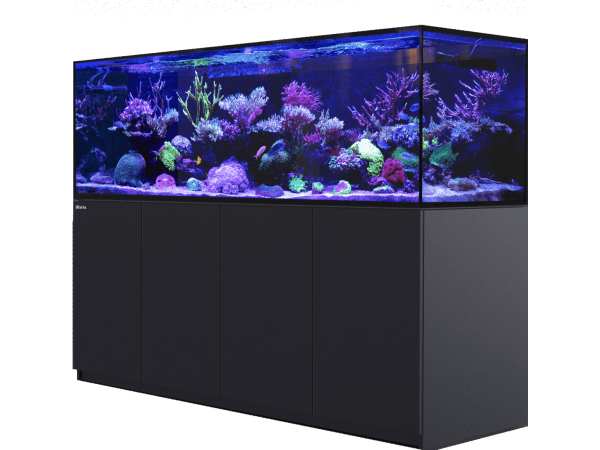 REEFER S 1000