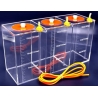 Coral Box LiquidBox 3 x 1.5Litres Orange