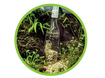 HOBBY Cloche à vase easy