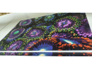 Zoagarden SpaceChaos Panneaux photo Largeur (cm) 50.67  Hauteur (cm) 33.67 Forex® (PVC) Euurolight 10 mm