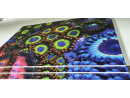 Fruit loop zoa garden Panneaux photo Largeur (cm) 50.67  Hauteur (cm) 33.67 Support Forex® (PVC) Eurolight 5 mm