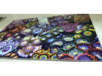 Space chaos Zoas garden Panneaux 50.67x33.67 JG5 Plexiglas deBeers 