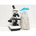 Bactéries Kit 960ml billes de culture Jusqu'à 400 Litres
