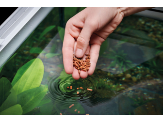 Cichlid Granulate M 550 ml Micro Oase