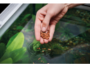 Cichlid Granulate M 550 ml Micro Oase