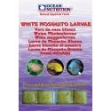 OC - VERS DE VASE BLANC 100GRS Ocean nutrition