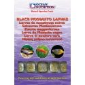 OC - LARVES NOIR DE MOUSTIQUES 100GRS Ocean nutrition