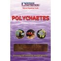 OC - POLYCHAETES (VERS DE MER) 100GR Ocean nutrition