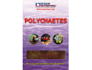 OC - POLYCHAETES (VERS DE MER) 100GR Ocean nutrition