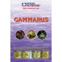 OC - GAMMARUS 100GRS Ocean nutrition