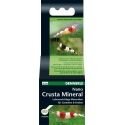 NANO CRUSTA MINERAL, 35 G Dennerle